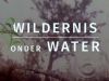 Wildernis Onder Water - Onder water in de veenplassen
