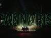 Cannabis7-10-2020