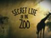 Secret Life of the ZooA Deer Family Welcome