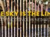 The Sky is the Limit: Rijk en Succesvol in Nederland19-1-2021