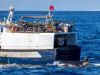 Nederlandse zeilers vrezen orka's aan de Portugese kust