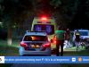 Jongeren vinden overleden vrouw in bosjes Roosendaal