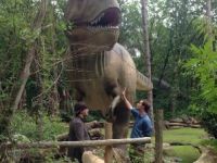 Pieter in de prehistorie - T-Rex