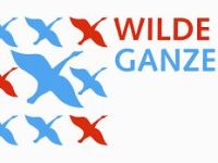 Wilde Ganzen - 20-10-2012