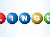 Lingo - 16-5-2013