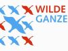 Wilde Ganzen - 11-5-2013