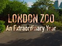 De London Zoo: Een Bijzonder Jaar