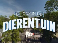 Bij ons in de Dierentuin - 20-12-2025