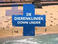 De Dierenkliniek Down Under