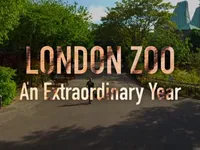 De London Zoo: Een Bijzonder Jaar