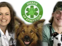 Dieren op Spreekuur