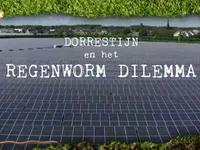 Dorrestijn en Het Regenworm Dilemma - 25-10-2023