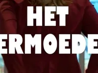 Het Vermoeden