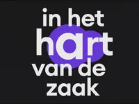 In het hart van de zaak - Gino - Veroordeeld