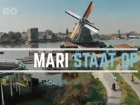 Mari Staat Op