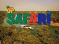 Op Safari - Giraffes en Springbokje