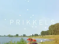 Prikkels