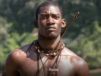 Roots