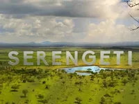 Serengeti - De afrekening