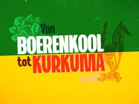 Van Boerenkool tot Kurkuma - Hoezo Ayurveda?