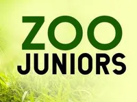 Zoo Juniors