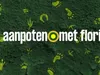 Aanpoten met Floris - Egels