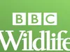 BBC Wildlife Home