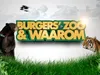 Burgers’ Zoo & Waarom gemist