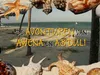 De Avonturen van Awena en Abduli 8-10-2023