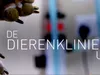 De Dierenkliniek UK gemist