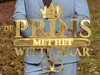 De Prins Met Het Witte Haar gemist
