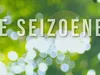 De Seizoenen gemist