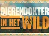 Dierendokter in het Wild gemist