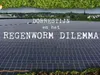 Dorrestijn en Het Regenworm Dilemma gemist