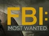 FBI: Most Wanted Heaven Falling