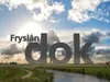 Fryslân Dok Scherpe tongen: Vrouwen en macht in de lokale politiek