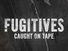 Fugitives Caught on Tape 21-7-2026