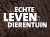 Het Echte Leven in de Dierentuin 26-12-2025