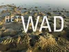 Het WAD gemist