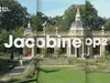Jacobine op 2 - Wie wordt de nieuwe Theoloog des Vaderlands?