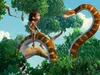 Jungle Book - De schat van de Koele Holen