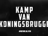 Kamp van Koningsbrugge 13-7-2023