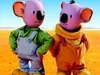 Koala Broertjes gemist