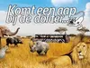 Komt een aap bij de dokter - 4-10-2021