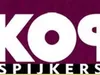 Kopspijkers gemist