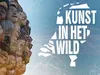 Kunst In Het Wild gemist