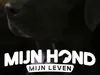 Mijn Hond, Mijn Leven gemist