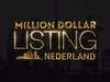 Million Dollar Listing Nederland