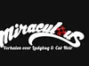Miraculous: Verhalen over Ladybug en Cat Noir Antibug