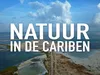 Natuur in de Cariben gemist